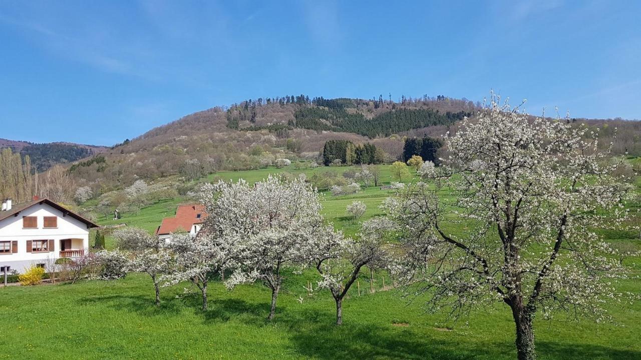 Le Breit Maison De Charme Avec Sa Dependance Breitenbach Exterior photo